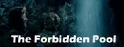 forbidden_pool_button.jpg